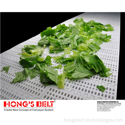 The Heavy Duty Modular Conveyor Belt (HS-100B)